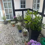 فيلة Troldehuset