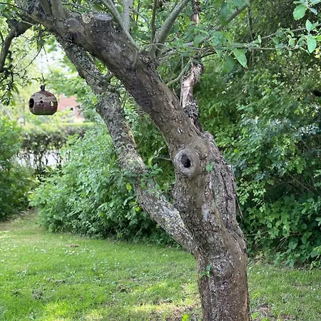 Troldehuset Villa Bogense